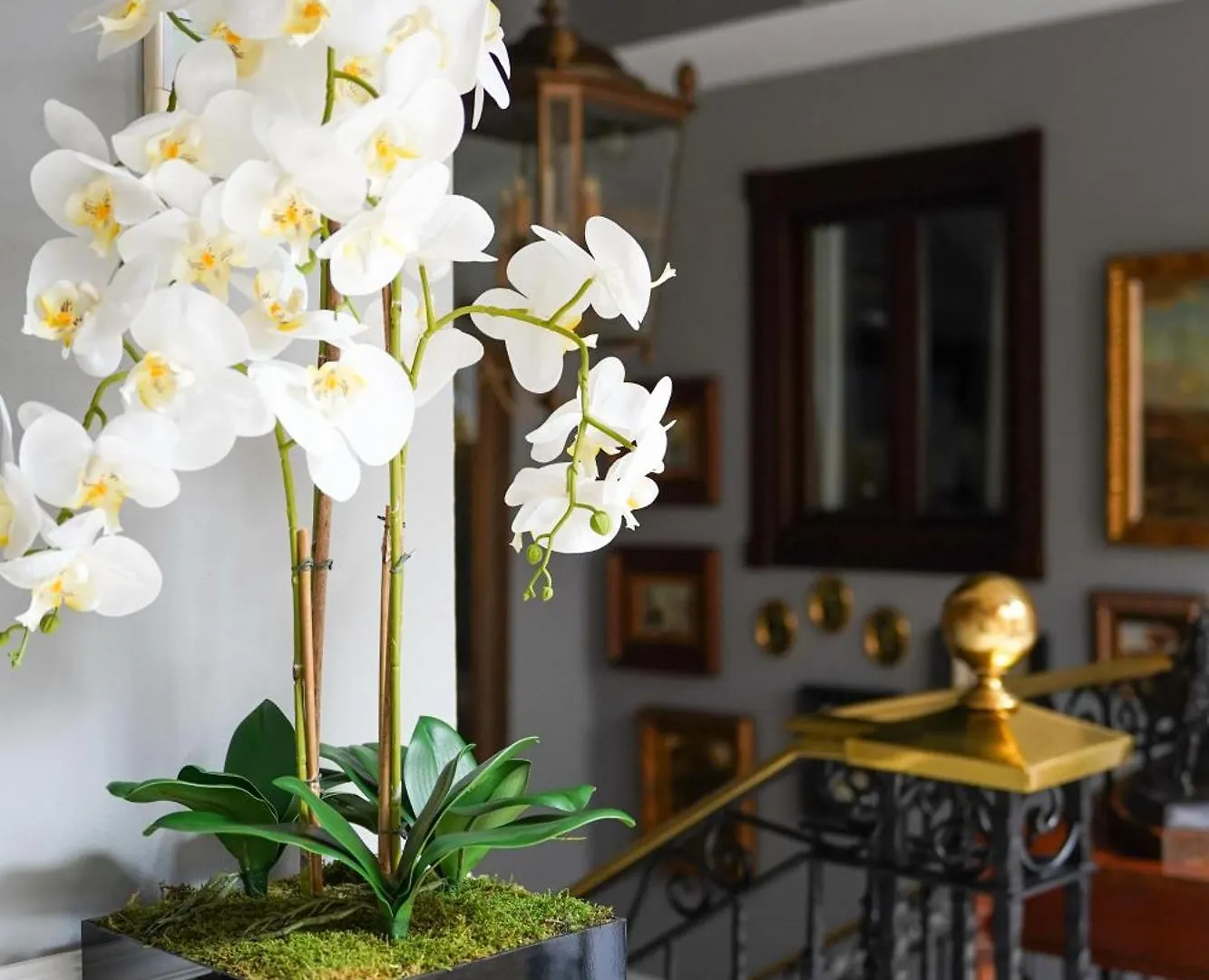 ****  Hotel Boutique Casa Veracruz Estepona Spain